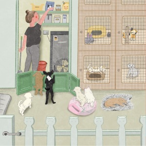 web-design-illustrations12